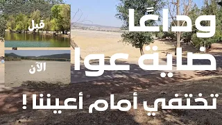 ضاية عوا تختفي مأساة طبيعية تهدد جوهرة إفران  ضاية عوا تختفي مأساة طبيعية تهدد جوهرة إفران