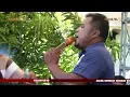 Download Lagu Kapan Rangdae Voc Bung Sonif Cuco | NEW ALTO MUSIC | Ds Karanganyar Blok Anjun Kandanghaur