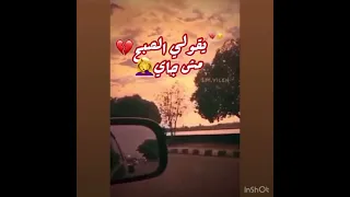حبيببي نساي حالات واتساب شيرين 