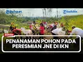 Download Lagu Penanaman Pohon dan Penyebaran Benih Ikan Warnai Peresmian JNE Pertama di IKN