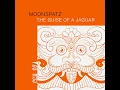 The Guise of a Jaguar