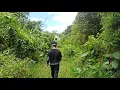 Download Lagu Adaptasi