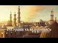 Download Lagu YA HABIBI YA MUHAMMAD - Seyyid Taleh Boradigahi | Cover: Glamour Ensemble