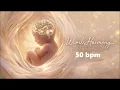 1 Hour Mozart Effect: Relaxing High-Frequency Classical Music for Unborn Babies I Pregnancy Music