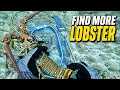 Where Did the Lobster Go Florida Keys Diving Tips Tides Bridge Tactics