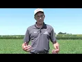2020 FSR Alfalfa Varieties