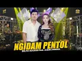 Download Lagu DELVA IRAWAN Feat. AJENG FEBRIA - NGIDAM PENTOL | Ft. OM SERA ( Official Music Video )