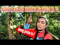 Download Lagu ANG AGA NAMIN NANGHAGBAS NI MIKE KALIKOT SA CAMP SITE | TEAM SUBASKO 
