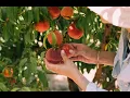 What s The Difference Between Extensive Intensive Farming