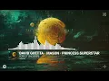 David Guetta vs Mason & Princess Superstar - Perfect (Exceeder) (Extended Mix)