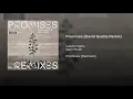 Promises (David Guetta Remix)