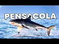 Top 10 Best Things to Do in Pensacola Florida Pensacola Travel Guide 2023