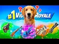 Download Lagu Using My *DOG* to PICK MY LOOT in Fortnite!