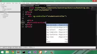 custom directive in angularjs