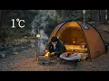 Lagu Hot Tent Camping in Forest with My Dog . Roast Fish in the Wild . Wood Stove ASMR