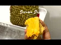 Lagu How to make Kuah Durian terpaling sedap! Serawa Durian #shorts