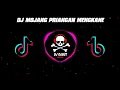 Download Lagu DJ MOJANG PRIANGAN MENGKANE (BY RAKA REMIXER).