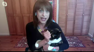 My Magic Carpet Washable Ramage Print on QVC