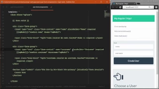 Getting Started with Angular 2 Lesson 23 Form Validation
