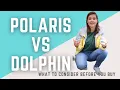 Dolphin vs Polaris Pool cleaner Review Catherine Arensberg