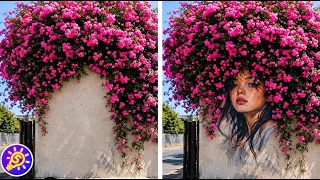 Beautiful Woman and Flowers. Street Art to make Eyes Smile
