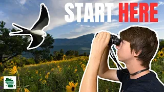 Birding 101 The Ultimate Beginner s Guide to Birding
