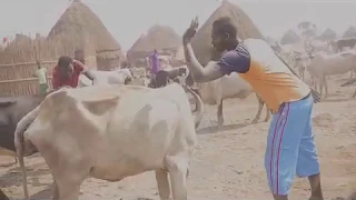 nuer movie love and money part 1 episod 1
