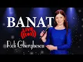 Download Lagu Reli Gherghescu - Colaj muzica Banat (cover)