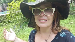 Como é morar na floresta