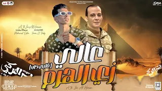 جديد 2024 عالي زي الهرم قلبي داب تامر التركي اوشا مصر توزيع شعبي هيكسر السماعات 