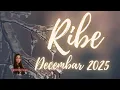 Lagu RIBE šta vi sve trpite😏 Ali zato kraj meseca donosi mir kao nagradu ❤️‍🔥 DECEMBAR 2025 TAROT ČITANJE