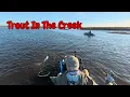Trout Redfish On The Falling Tide Sister s Creek