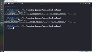 Linux CLI Comparing Files with Hash Values CMP SHA256SUM