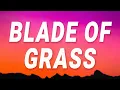 Download Lagu Lady Gaga - Blade Of Grass (Lyrics)