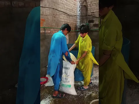 Electricity Meter Crushing | Recycling Process