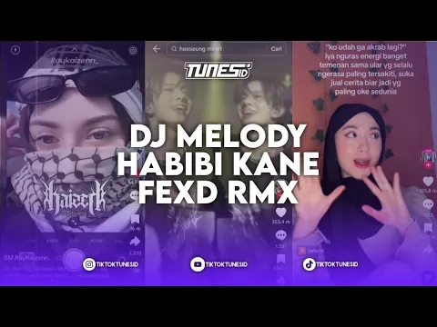 Download MP3 DJ MELODY HABIBI KANE FEXD RMX X DJ MAMA MUDA BREAKDUTCH