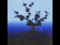 Solace - superdupersultan SharehAkhter ft UmerAnjum021