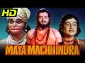 Download Lagu Maya Machindra (HD) (1975)- Bollywood Full Movie |Abbhi Bhattacharya, Master Satyajit, Kanan Kaushal