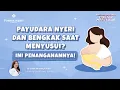 Lagu Payudara Nyeri dan Bengkak Saat Menyusui? Kenali Cara Mengatasi Mastitis - dr. Inke Prasetyowati