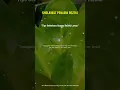 Download Lagu SHOLAWAT NABI PENARIK REZEKI PALING DAHSYAT - SHOLAWAT PENYEJUK HATI PENENANG PIKIRAN!!