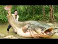 Download Lagu Harvest Huge Fish Pond of Giant Catfish \u0026 Carp to Sell at the Market, Cook Fried Fish \u0026 Tofu Soup
