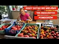 Download Lagu Dlaczego Są Pyszne, Dorodne, Zdrowe - Wyjątkowe Pomidory W Tym Roku
