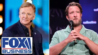 Dave Portnoy sounds off on NFL s Roger Goodell He doesn t care