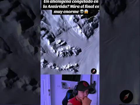 alienígena en la Antártida 🫪
