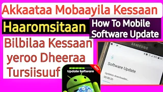 Akkaataa Bilbilaa Kessaan Itti Haaromsitaan How To Update Software On Android Phone 