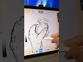 Roblox Speed Draw on iPad Tilou