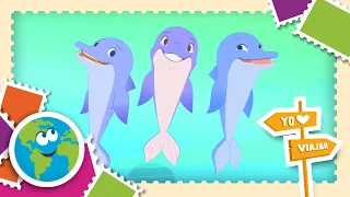 ¿CUÁL ES EL LENGUAJE DE LOS DELFINES? - Un Mundo de Preguntas l El Mundo de Luna!