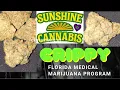 WHAT Is this CRIPPY weed the Crippy weed of old Sunshine Cannabis has dropped their own version