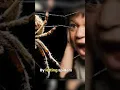 Download Lagu ❗🕷️🕸️ This Guy Was Bitten by Spiders Every Day for 5 Years