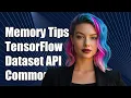 Optimizing Memory Management in TensorFlow s Dataset API Common Challenges Solutions